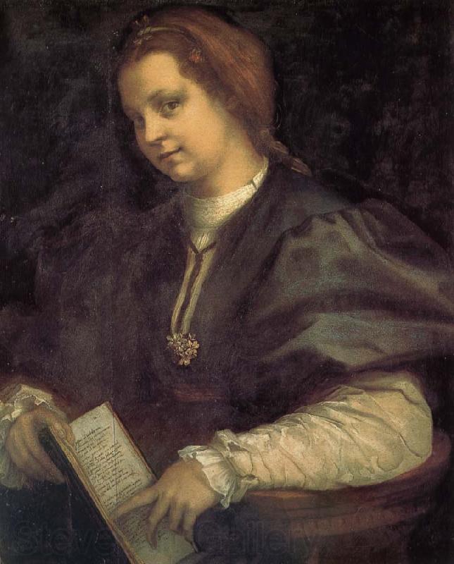 Andrea del Sarto Take the book portrait of woman Germany oil painting art